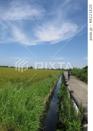 初夏の荒川サイクリンロード 初夏の荒川サイクリンロード 66221620