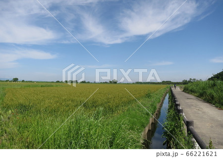 初夏の荒川サイクリングロード 初夏の荒川サイクリングロード 66221621
