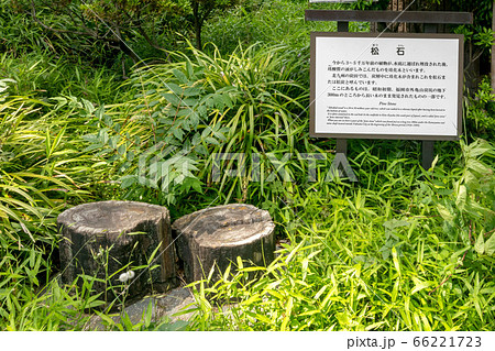 松石 松石 66221723