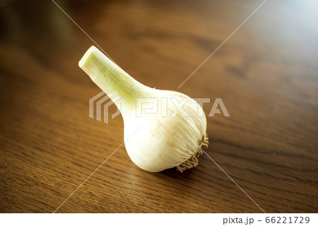 ニンニク 66221729