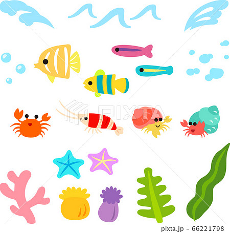 かわいい魚と海のイラストセット のイラスト素材 66221798 Pixta