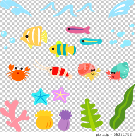 かわいい魚と海のイラストセット のイラスト素材