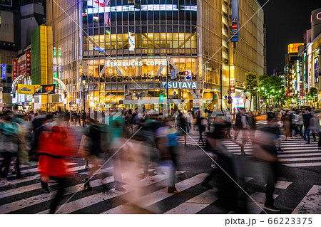 日本の東京都市景観 渋谷のスクランブル交差点などを望む(夜景) 日本の東京都市景観 渋谷のスクランブル交差点などを望む(夜景) 66223375