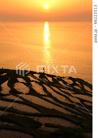 白米千枚田 白米千枚田 66223513