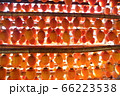富山の干柿 66223538