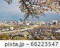 太陽の塔 66223547
