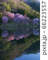中綱湖 66223557