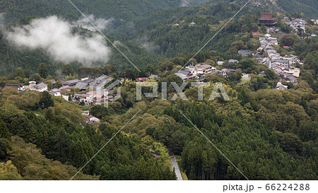 奈良県 吉野山 花矢倉展望台 夏 66224288