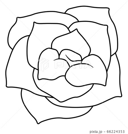 薔薇 バラ ばら アイコン 薔薇 バラ ばら アイコン 66224353