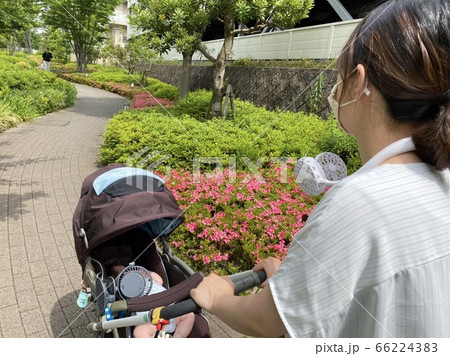 アフターコロナの散歩 アフターコロナの散歩 66224383