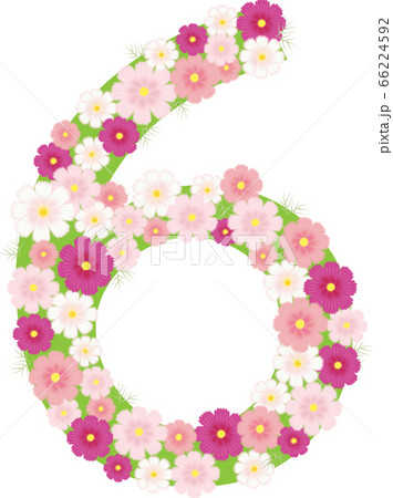 コスモスの花の数字6のイラスト素材