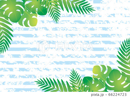 モンステラとヤシの葉のフレームのイラスト素材