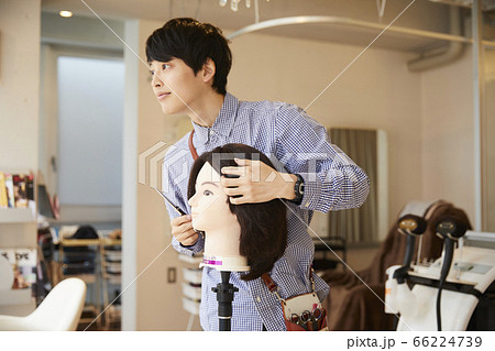 若い男性の美容師　ヘアマネキン　アシスタント 66224739
