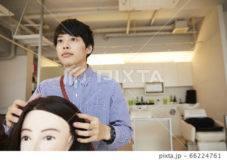 若い男性の美容師 ヘアマネキン アシスタント 若い男性の美容師 ヘアマネキン アシスタント 66224761