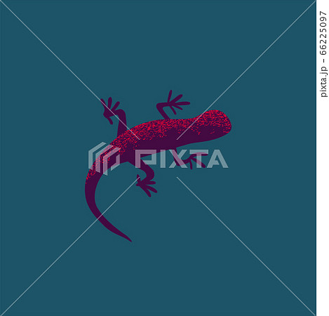 ヤモリのイラスト 66225097