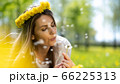 Beautiful Young Woman lying on the field in green grass and blowing dandelion. 66225313