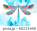 Watercolor 66225406