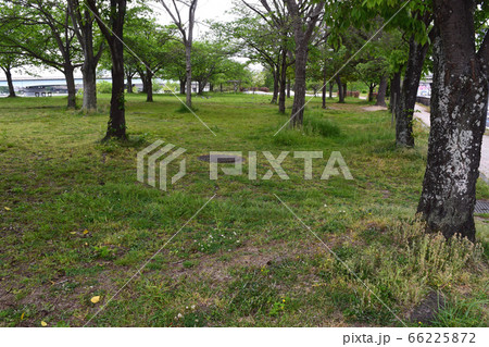 コロナ禍　自粛生活中の公園風景 66225872