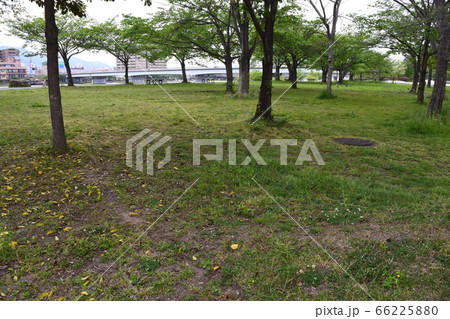 コロナ禍 自粛生活中の公園風景 コロナ禍 自粛生活中の公園風景 66225880