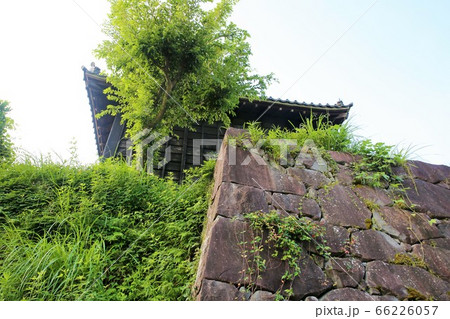 掛川城 66226057