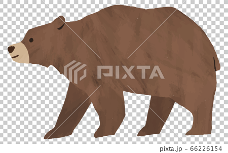 くま クマ 熊 横 イラスト 水彩 素材のイラスト素材