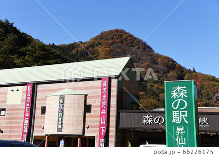 昇仙峡　影絵の森美術館 66226175