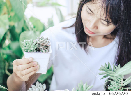 Closeup woman hand holding succulent plant in pot Closeup woman hand holding succulent plant in pot 66226220