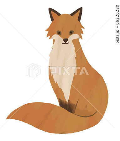 キツネ 狐 きつね 座っている イラスト 水彩 素材のイラスト素材