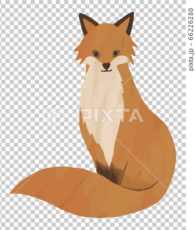 キツネ 狐 きつね 座っている イラスト 水彩 素材のイラスト素材