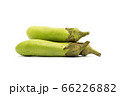 green eggplant isolated on white 66226882