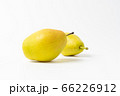 pears isolated on white 66226912