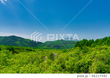 初夏の磐梯吾妻レークラインの風景 新緑の森と磐梯山 福島県猪苗代町 初夏の磐梯吾妻レークラインの風景 新緑の森と磐梯山 福島県猪苗代町 66227492
