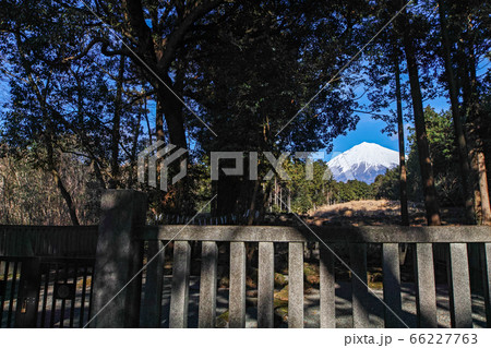 静岡県/ 山宮浅間神社（富士山そのものを御神体とし、数ある浅間神社の中でも最も古いと伝えられる神社） 66227763