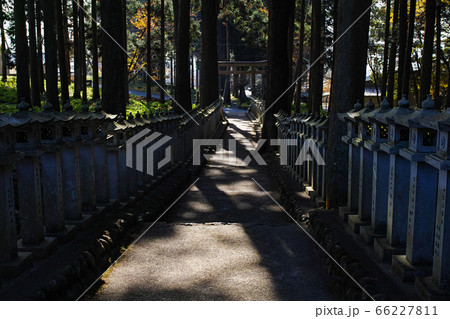 静岡県/ 山宮浅間神社（富士山そのものを御神体とし、数ある浅間神社の中でも最も古いと伝えられる神社） 66227811