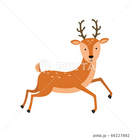 Cute deer cartoon vector illustration on white background 66227882