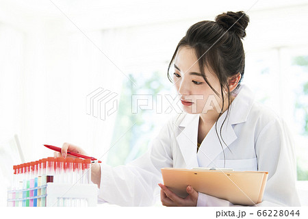 女性 白衣 研究 実験 試験管 女性 白衣 研究 実験 試験管 66228044