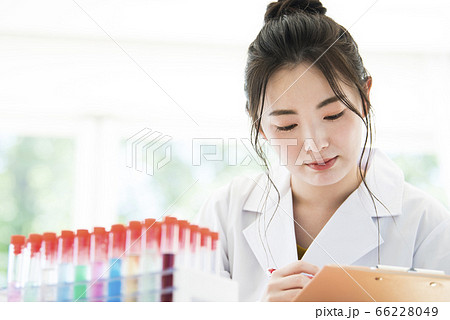 女性　白衣　研究　実験　試験管 66228049