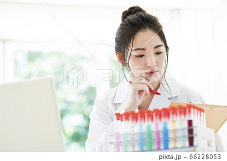 女性　白衣　研究　実験　試験管 66228053
