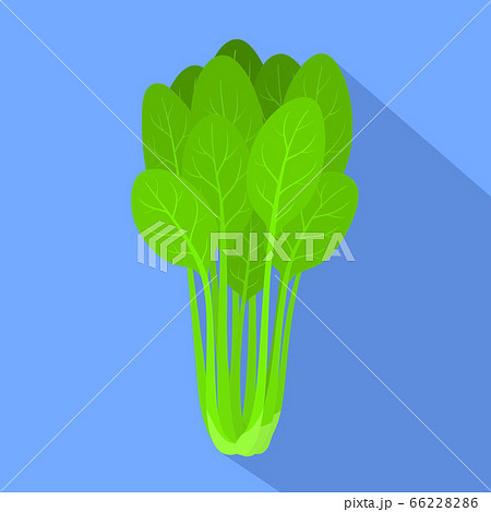 Spinach plant icon, flat style Spinach plant icon, flat style 66228286