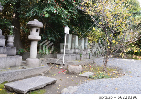 南宗寺の境内(大阪府堺市堺区南旅篭町東) 南宗寺の境内(大阪府堺市堺区南旅篭町東) 66228396