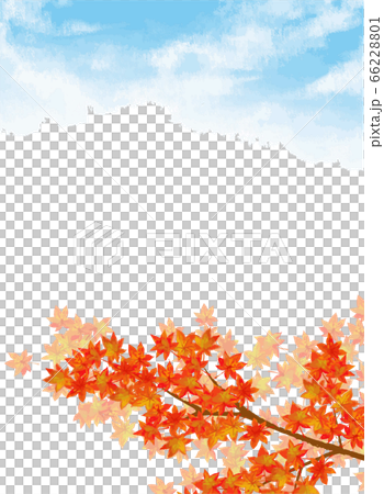 秋の空と紅葉の枝の水彩風ベクターイラストのイラスト素材 [66228801