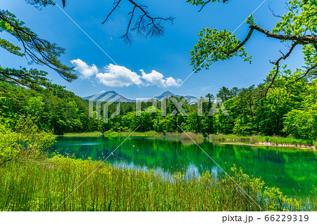 五色沼自然探勝路の新緑風景 るり沼と磐梯山 福島県北塩原村の写真素材