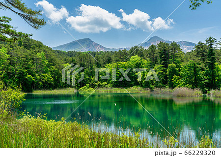 五色沼自然探勝路の新緑風景　るり沼と磐梯山　福島県北塩原村 66229320
