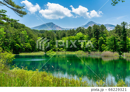 五色沼自然探勝路の新緑風景　るり沼と磐梯山　福島県北塩原村 66229321
