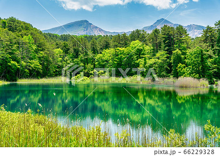 五色沼自然探勝路の新緑風景　るり沼と磐梯山　福島県北塩原村 66229328