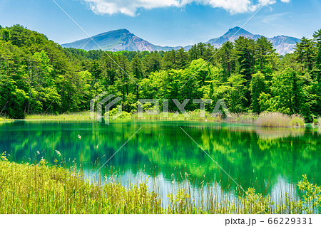 五色沼自然探勝路の新緑風景　るり沼と磐梯山　福島県北塩原村 66229331