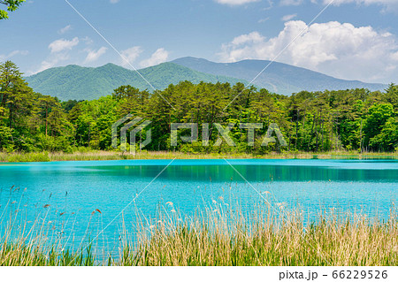 初夏の五色沼自然探勝路の風景　弁天沼と西吾妻山　福島県北塩原村 66229526