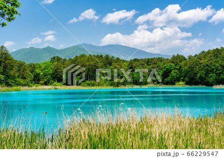初夏の五色沼自然探勝路の風景　弁天沼と西吾妻山　福島県北塩原村 66229547