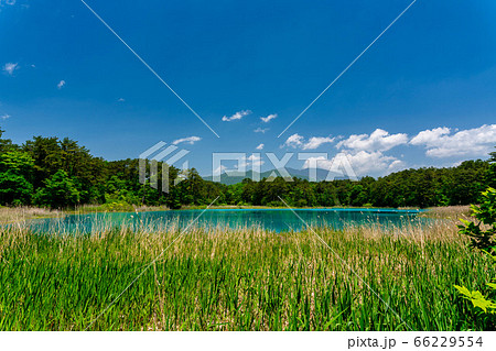 初夏の五色沼自然探勝路の風景 弁天沼と西吾妻山 福島県北塩原村 初夏の五色沼自然探勝路の風景 弁天沼と西吾妻山 福島県北塩原村 66229554