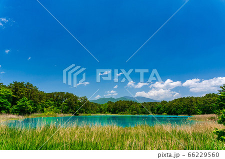 初夏の五色沼自然探勝路の風景　弁天沼と西吾妻山　福島県北塩原村 66229560